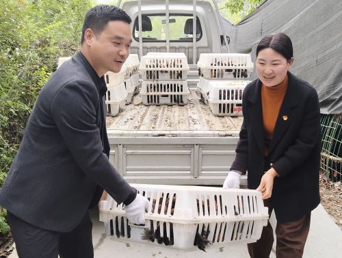 5b89e450969abb07ae7a0ac3cadcfd72 5b89e450969abb07ae7a0ac3cadcfd72