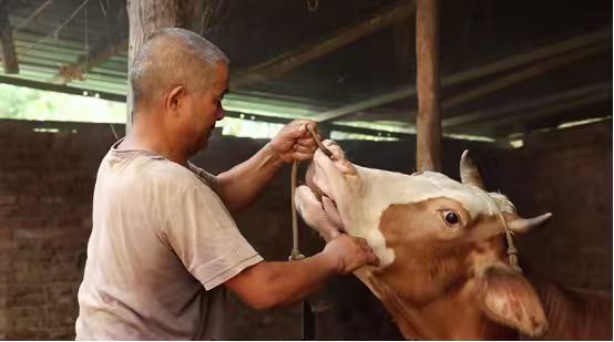 命运多舛仍向阳 深山硬汉铸传奇