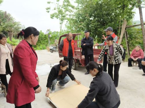 王家河村工作人员协助小蚕共育户分发小蚕