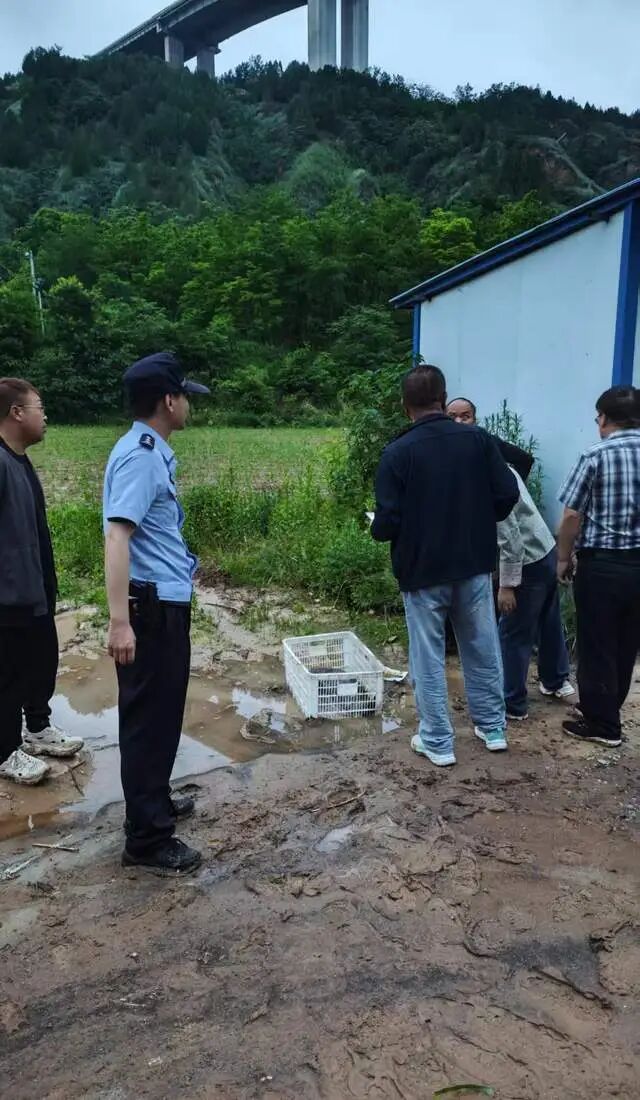永寿县公安局城关派出所成功救助国家二级保护动物野生大鲵