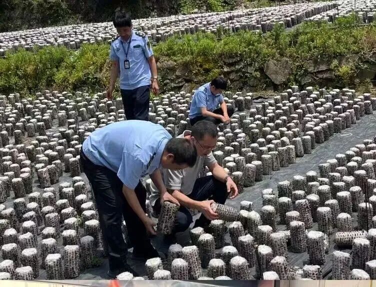 柞水筑牢农产品质量安全防线