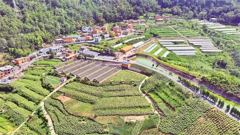 岚皋县城关镇茅坪村常态化开展人居环境整治，做优乡村旅游产业——从村容焕新到产业兴旺