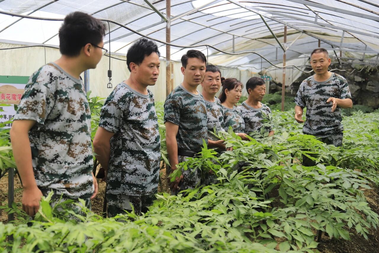 微信图片_2026-09-02_094519_119 微信图片_2026-09-02_094519_119