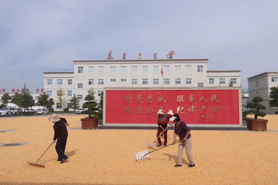 微信图片_2026-09-17_103154_969