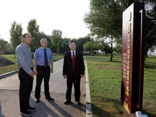 潼关法院：府法检联动护生态 协同共治促发展